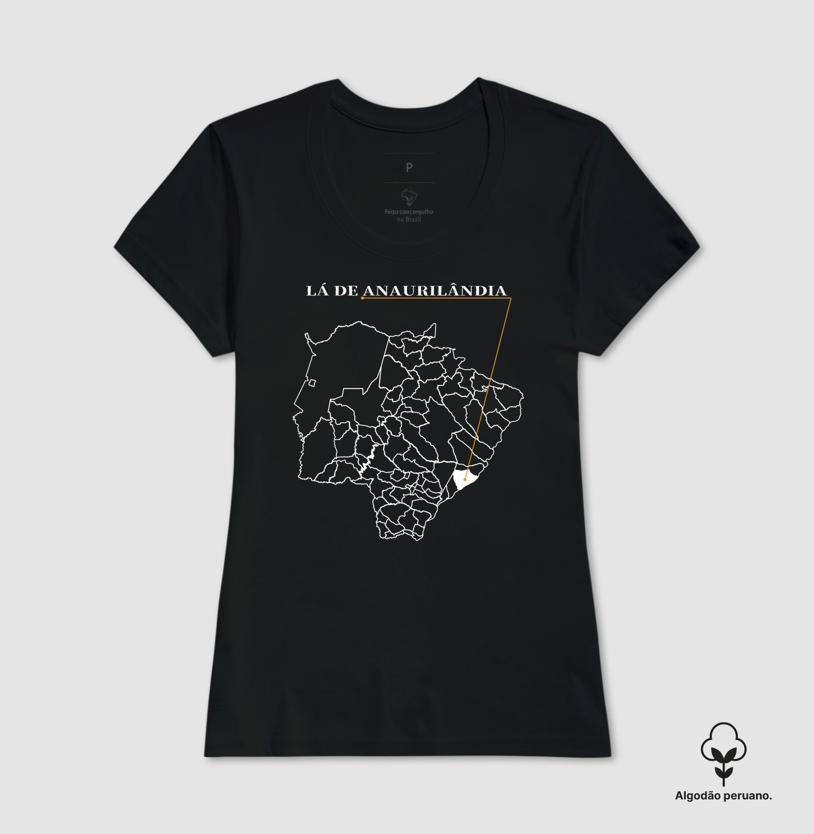 Anaurilândia | Origem MS - Imagem 2