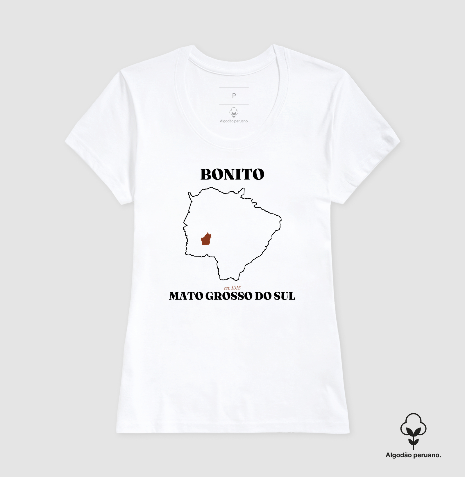 Bonito | Legado MS - Imagem 7