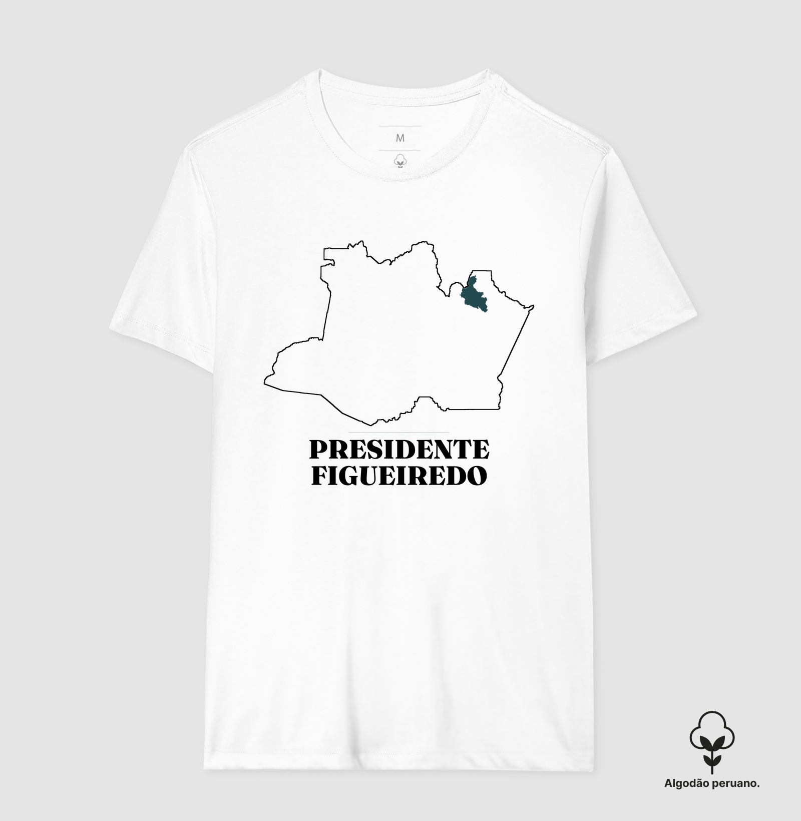 Presidente Figueiredo | Traço AM - Imagem 5
