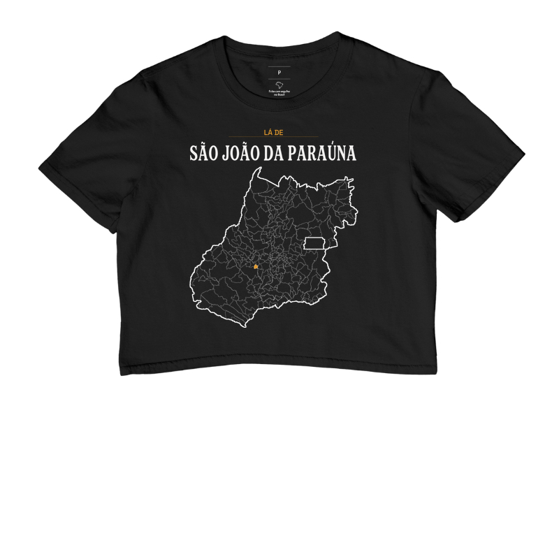 São João da Paraúna | Território GO - Imagem 2