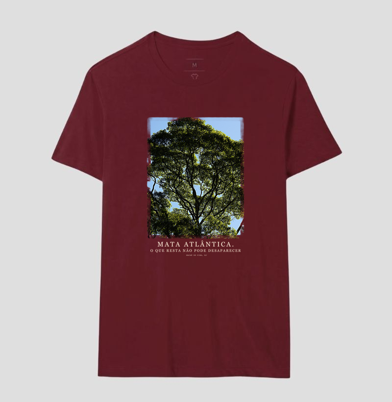 Mata Atlântica - Imagem 8