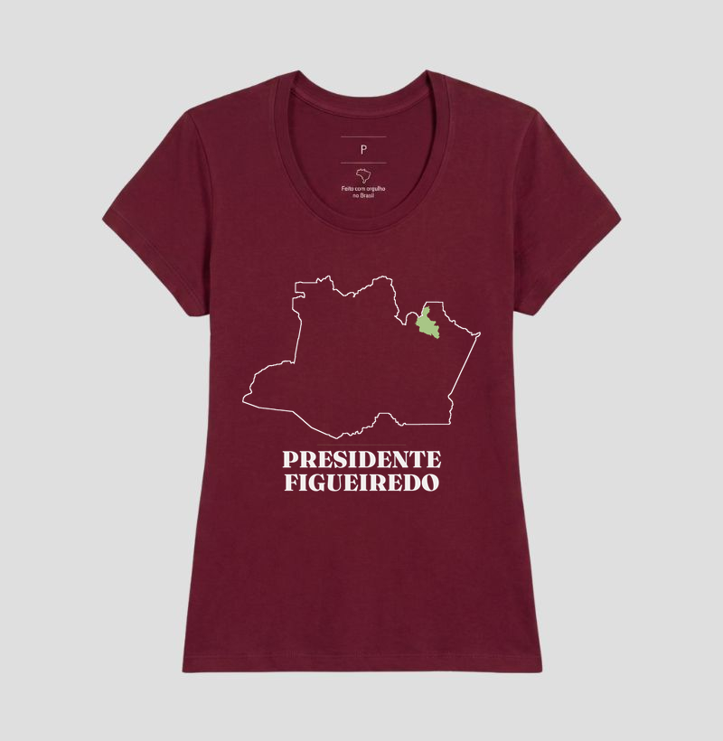 Presidente Figueiredo | Traço AM - Imagem 19