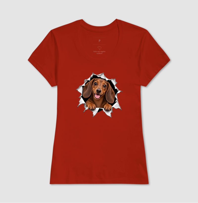 Dachshund Saindo Pelo Rasgo - Imagem 11