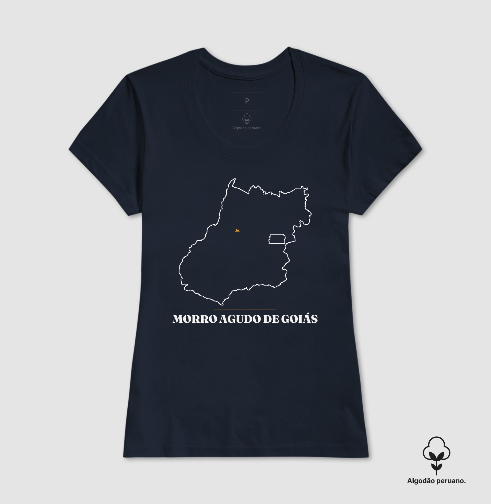 Morro Agudo de Goiás | Traço GO - Imagem 6