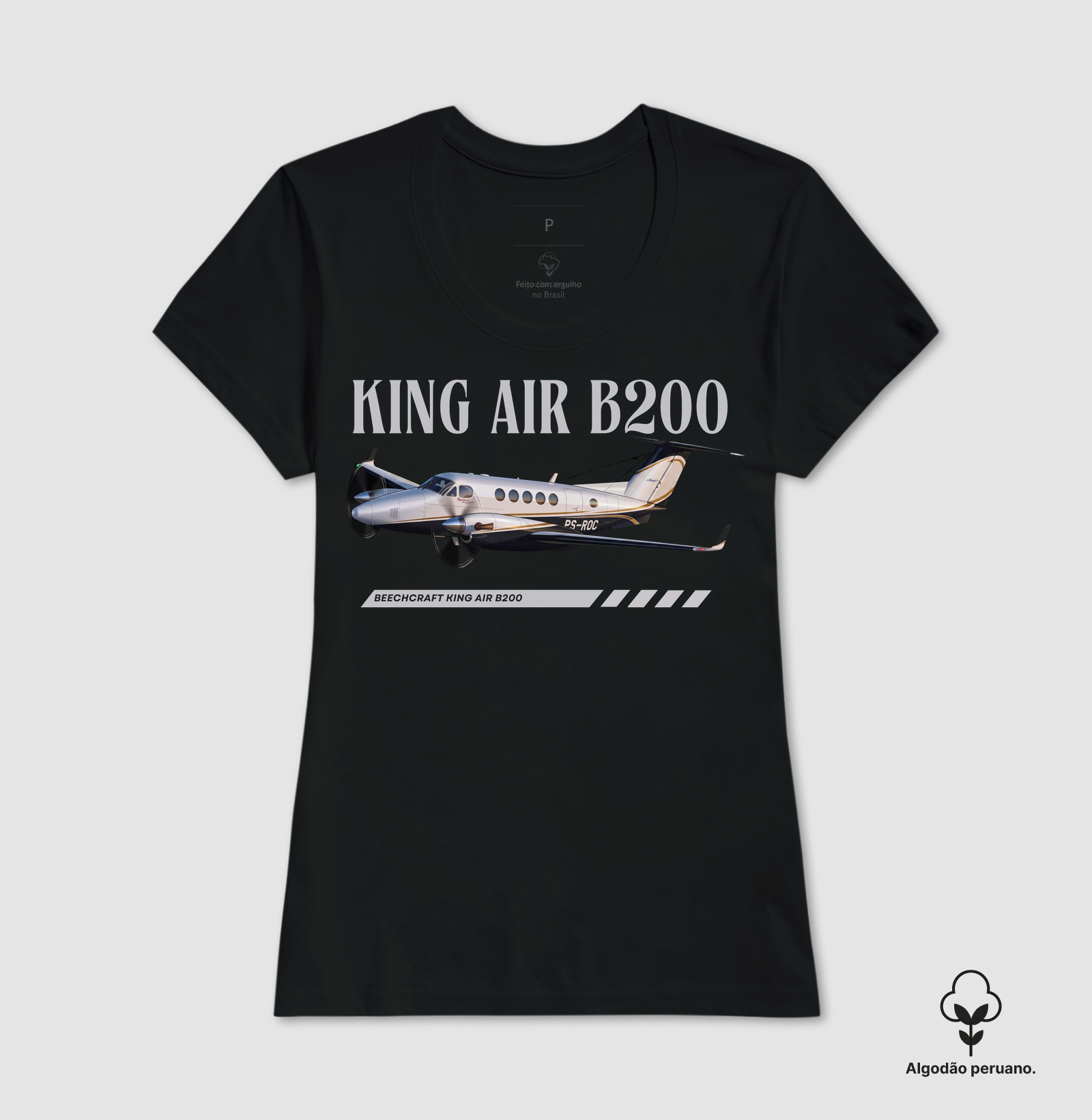 King Air B200 - Imagem 2