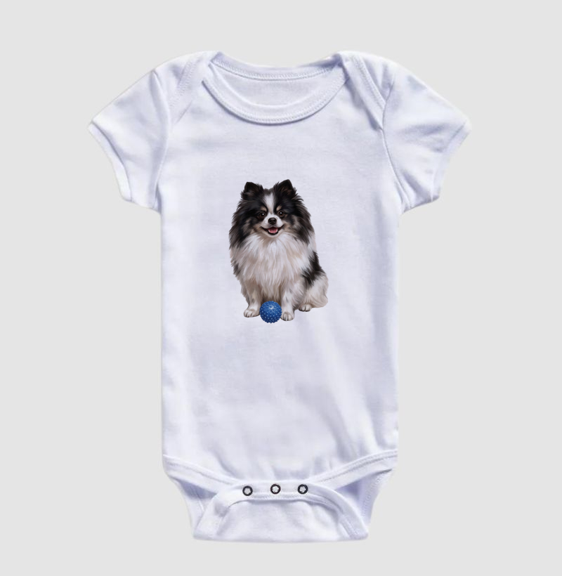 Pomerânia Preta e Branca (Spitz Alemão) - Imagem 3