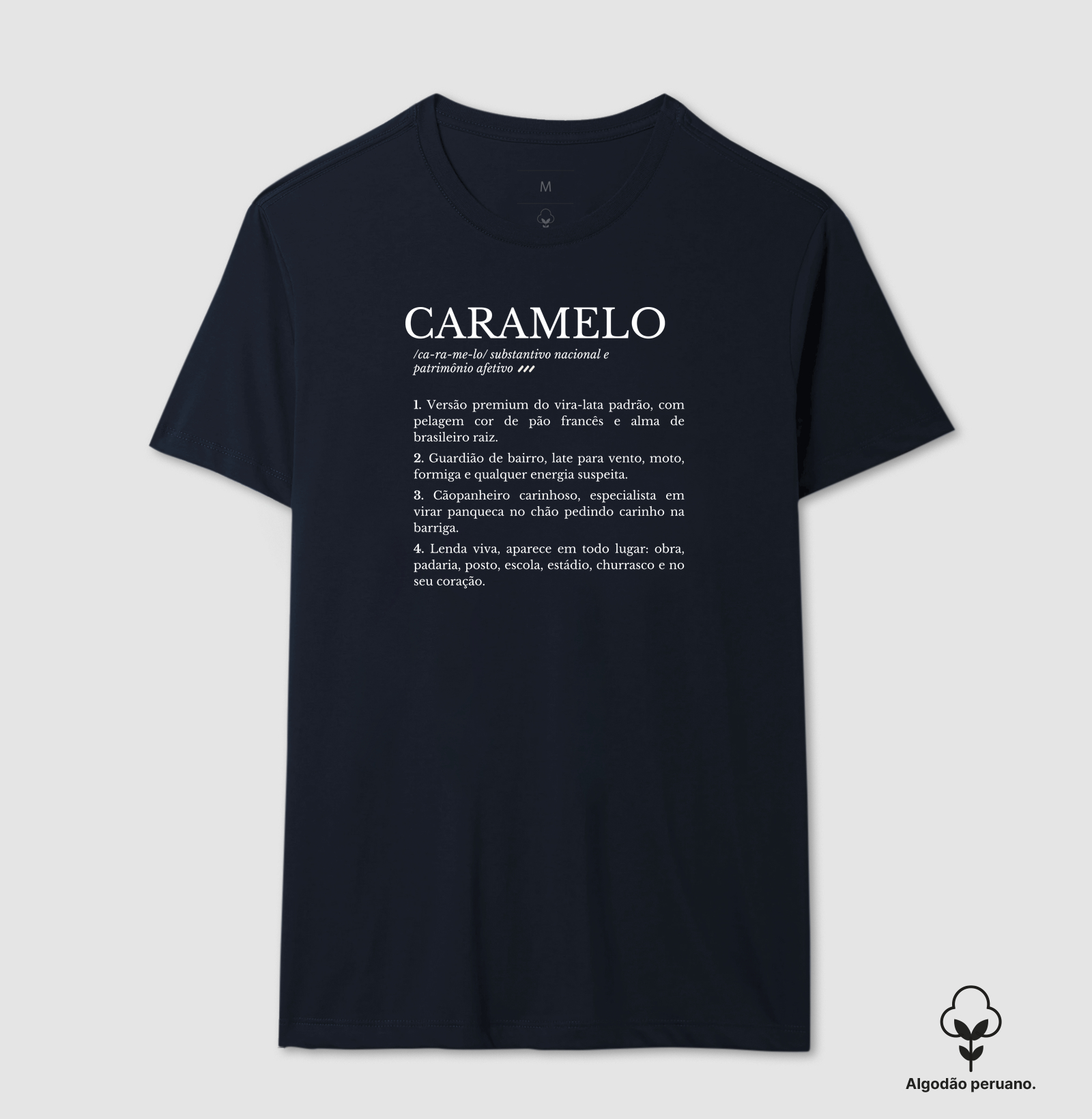 Camisa 4
