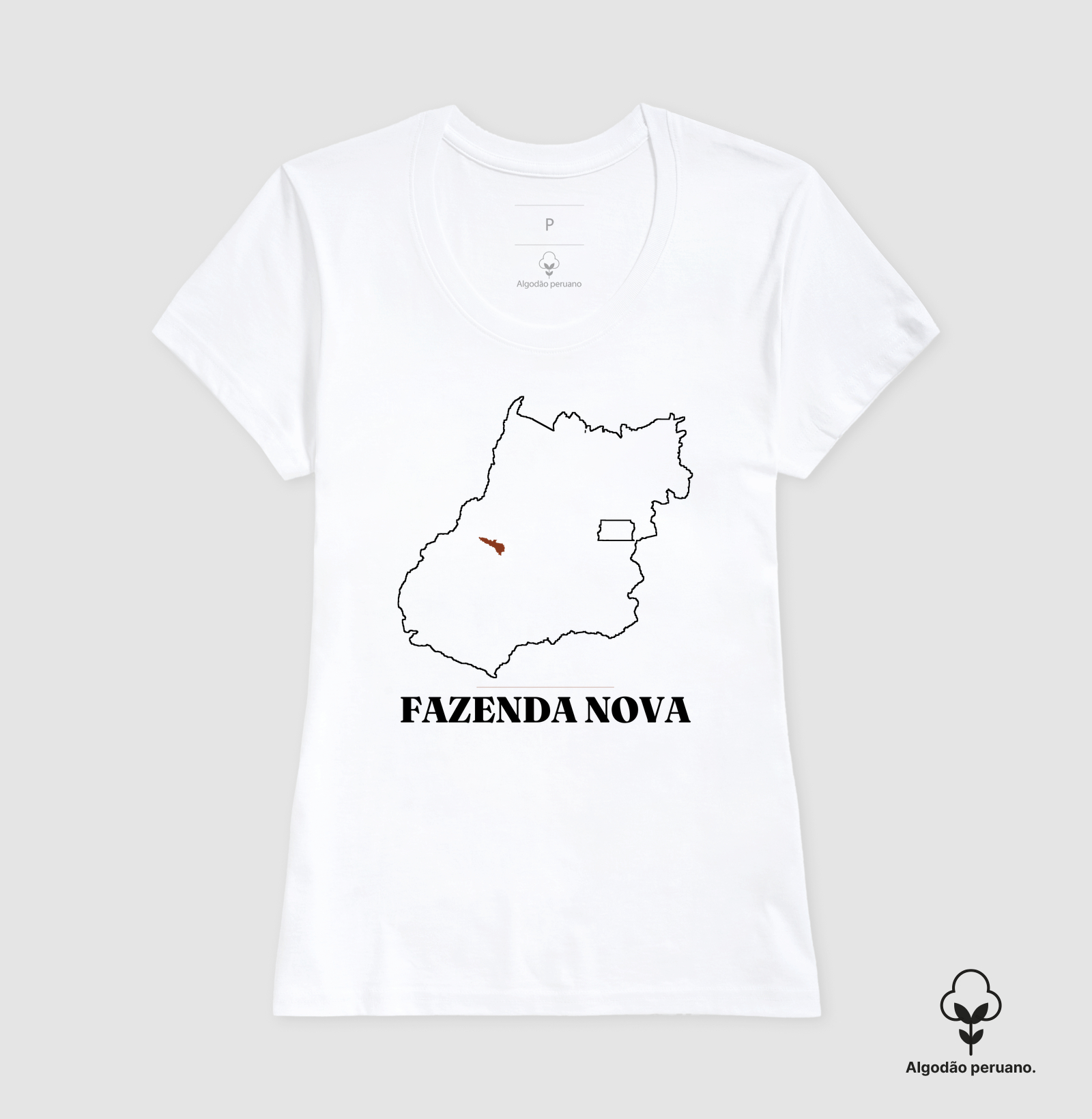 Fazenda Nova | Traço GO - Imagem 6