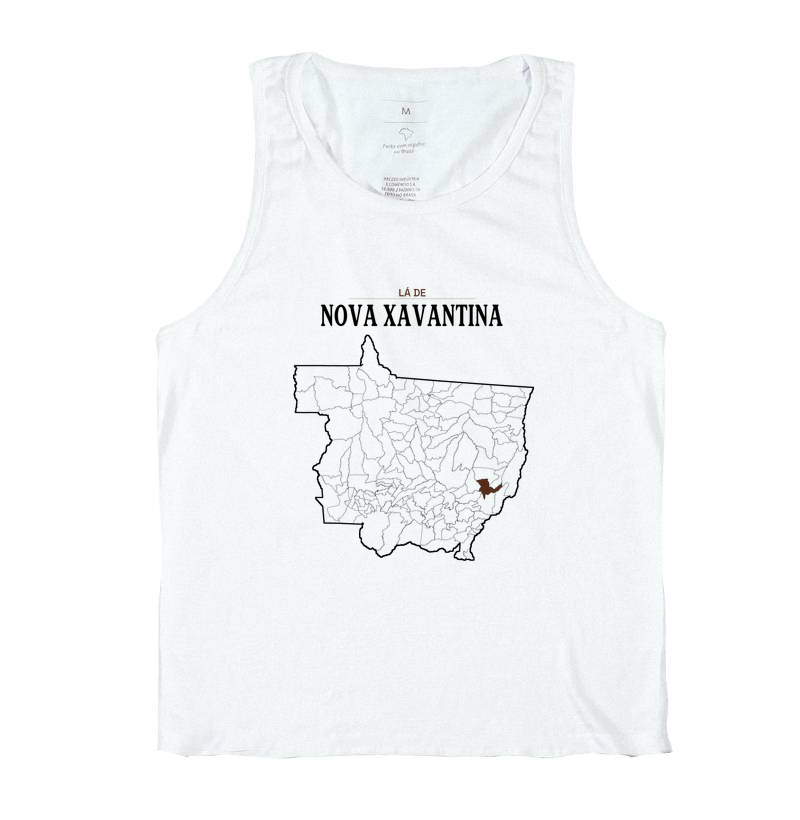 Nova Xavantina | Território MT - Imagem 2