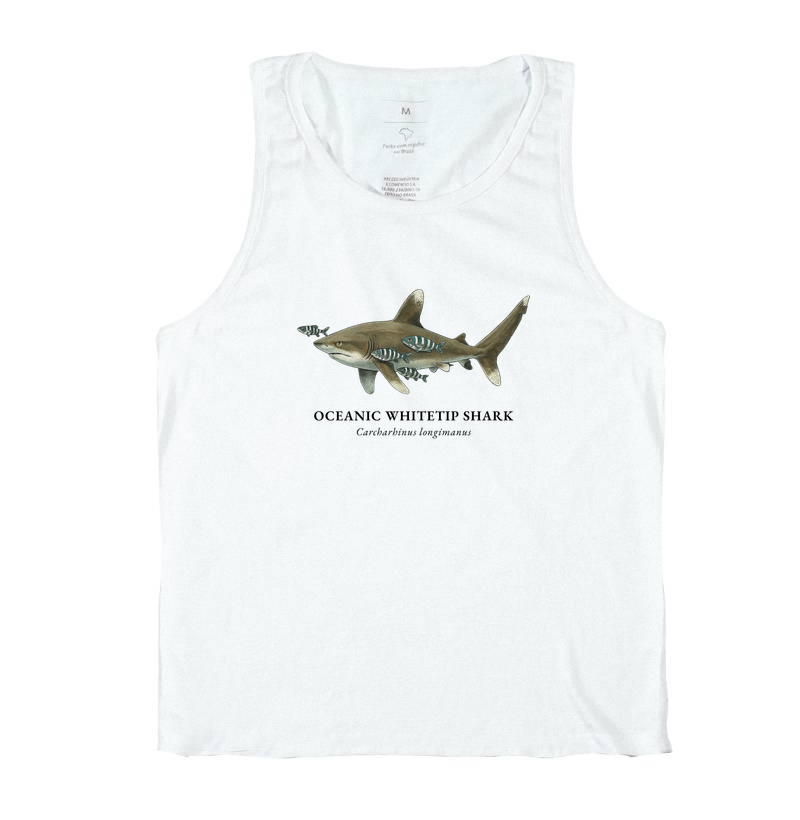 Oceanic Whitetip Shark - Imagem 4