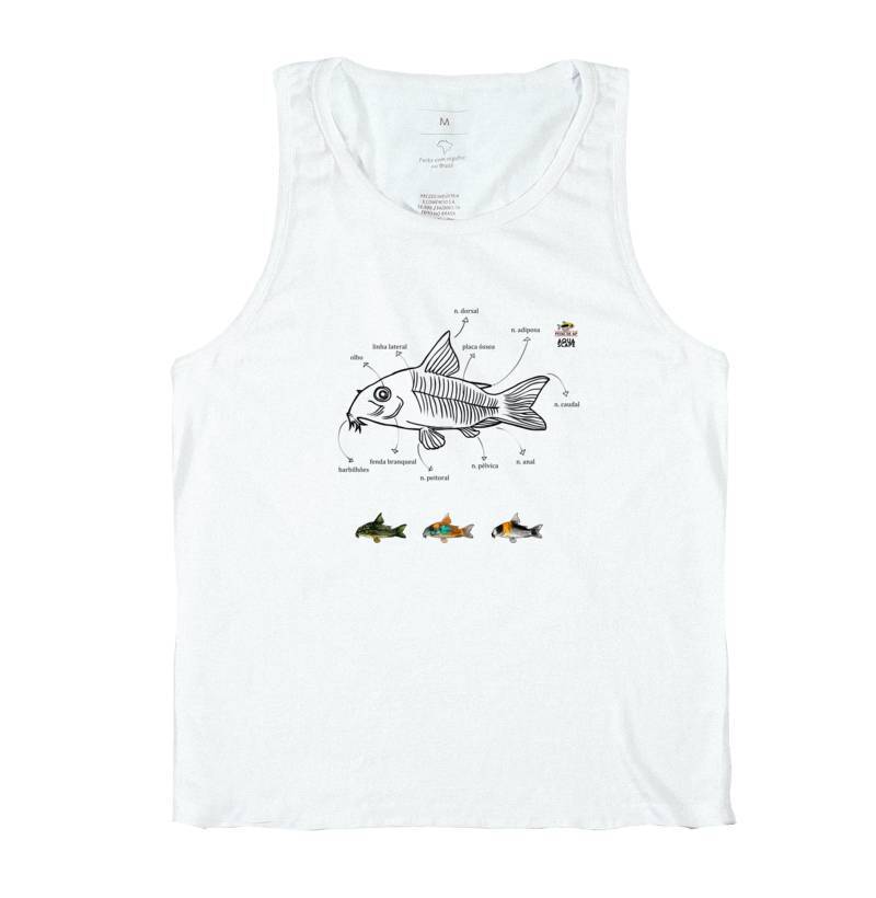 Corydoras sp. - Regata