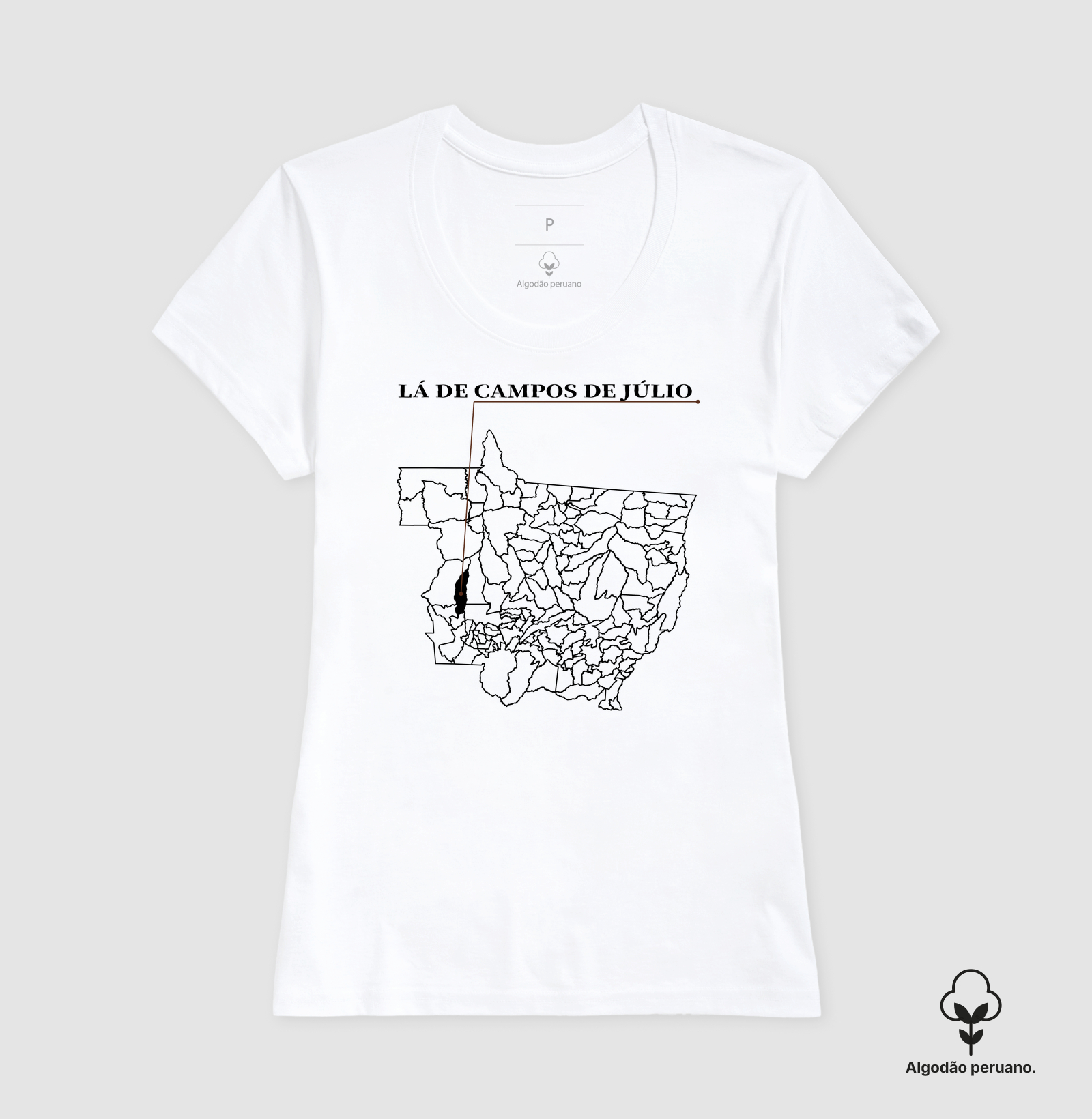 Campos de Júlio | Origem MT - Imagem 4