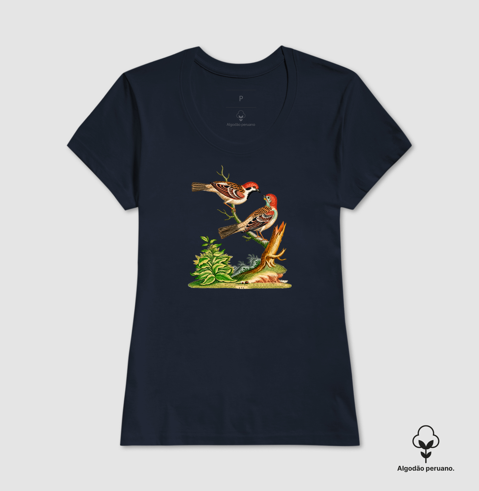Camiseta Pássaros — História Natural do Século XVIII - Imagem 8