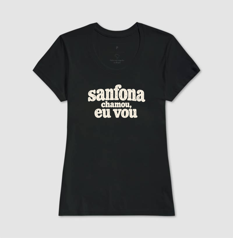 Sanfona chamou, eu vou - Imagem 3