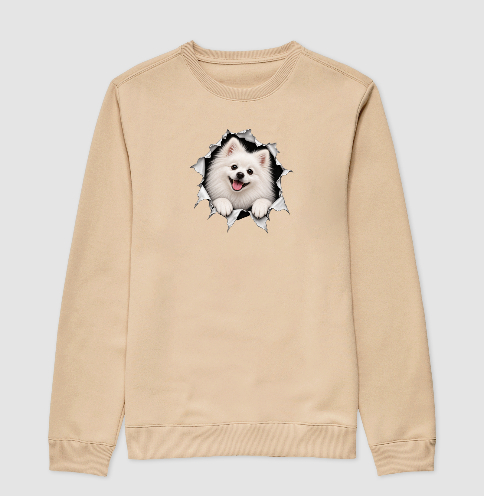 Pomerânia (Spitz Alemão) Saindo da Camisa - Imagem 3