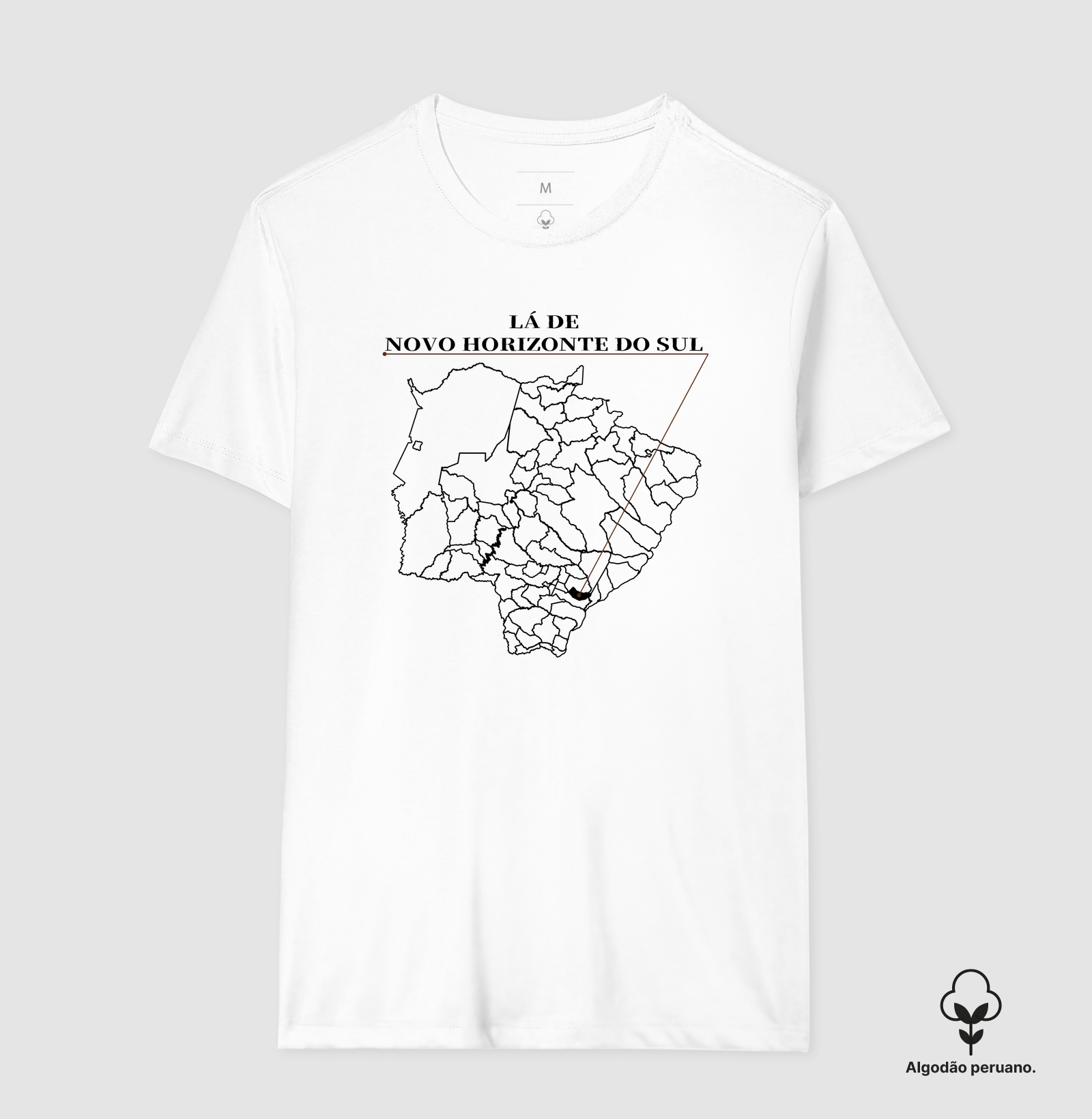 Novo Horizonte do Sul | Origem MS - Imagem 4