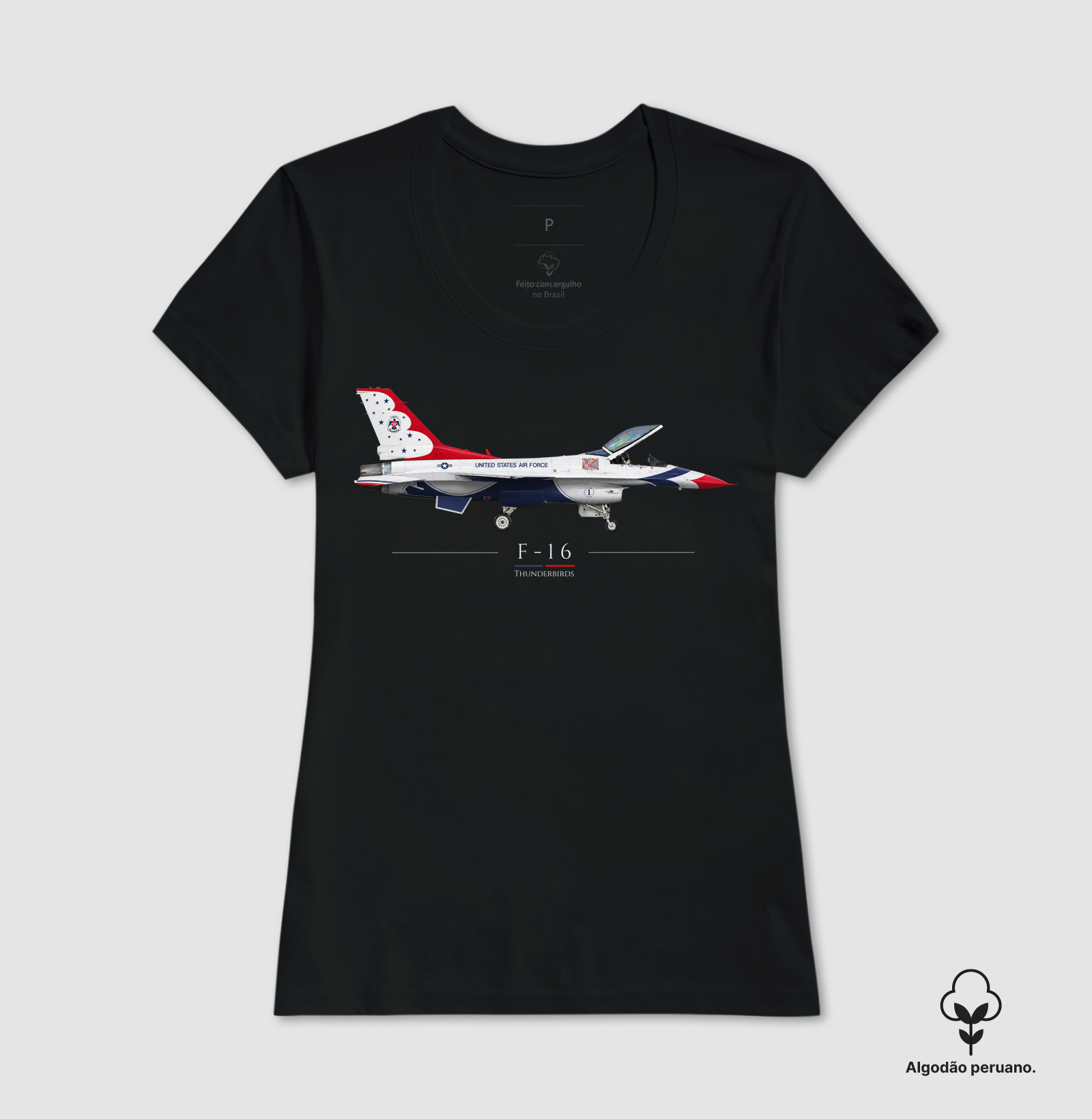 F-16 Thunderbirds | Profile - Imagem 4