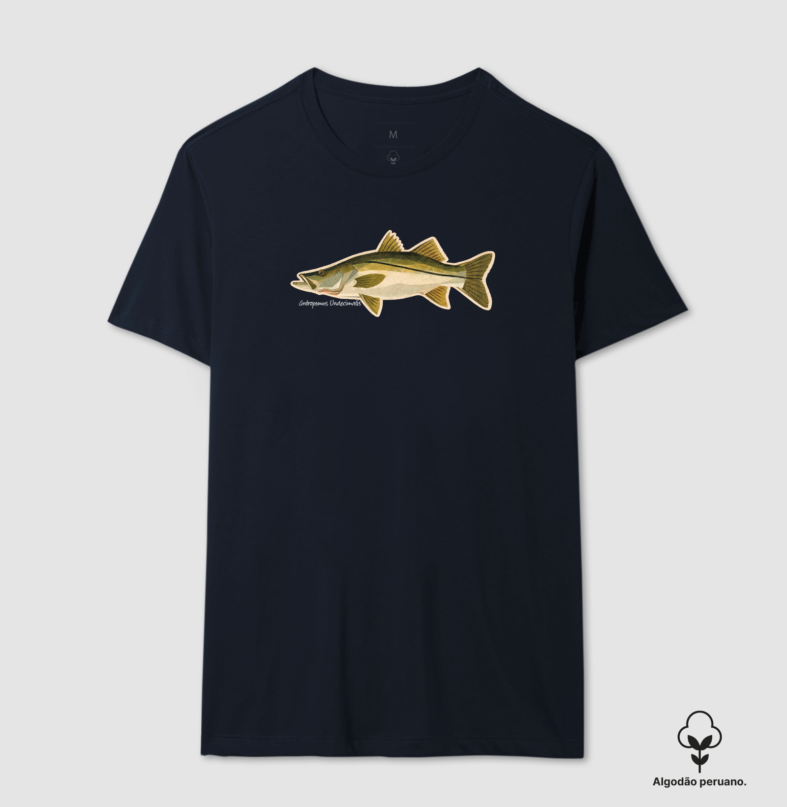 Robalo - Imagem 3