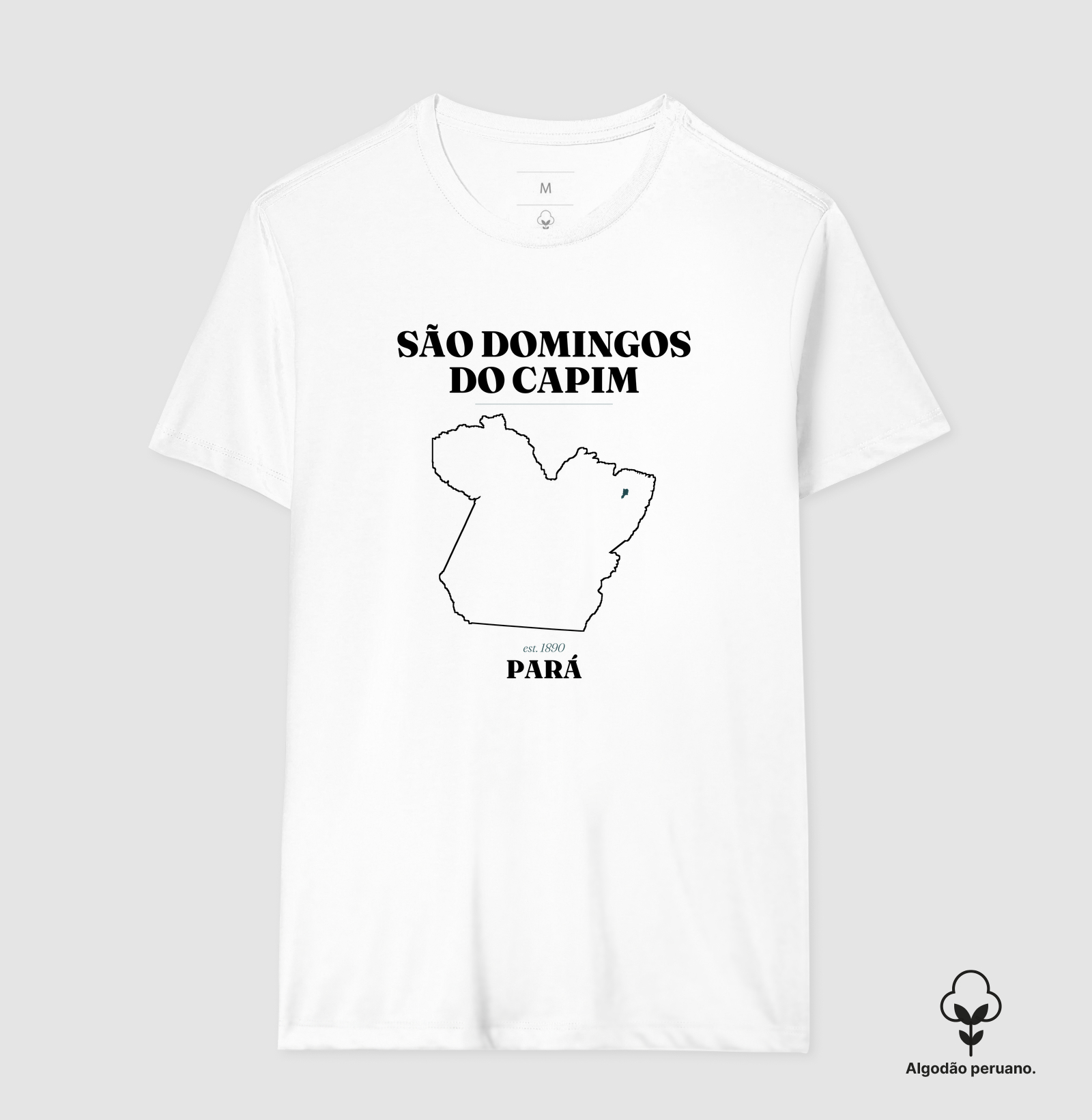São Domingos do Capim | Legado PA - Imagem 4