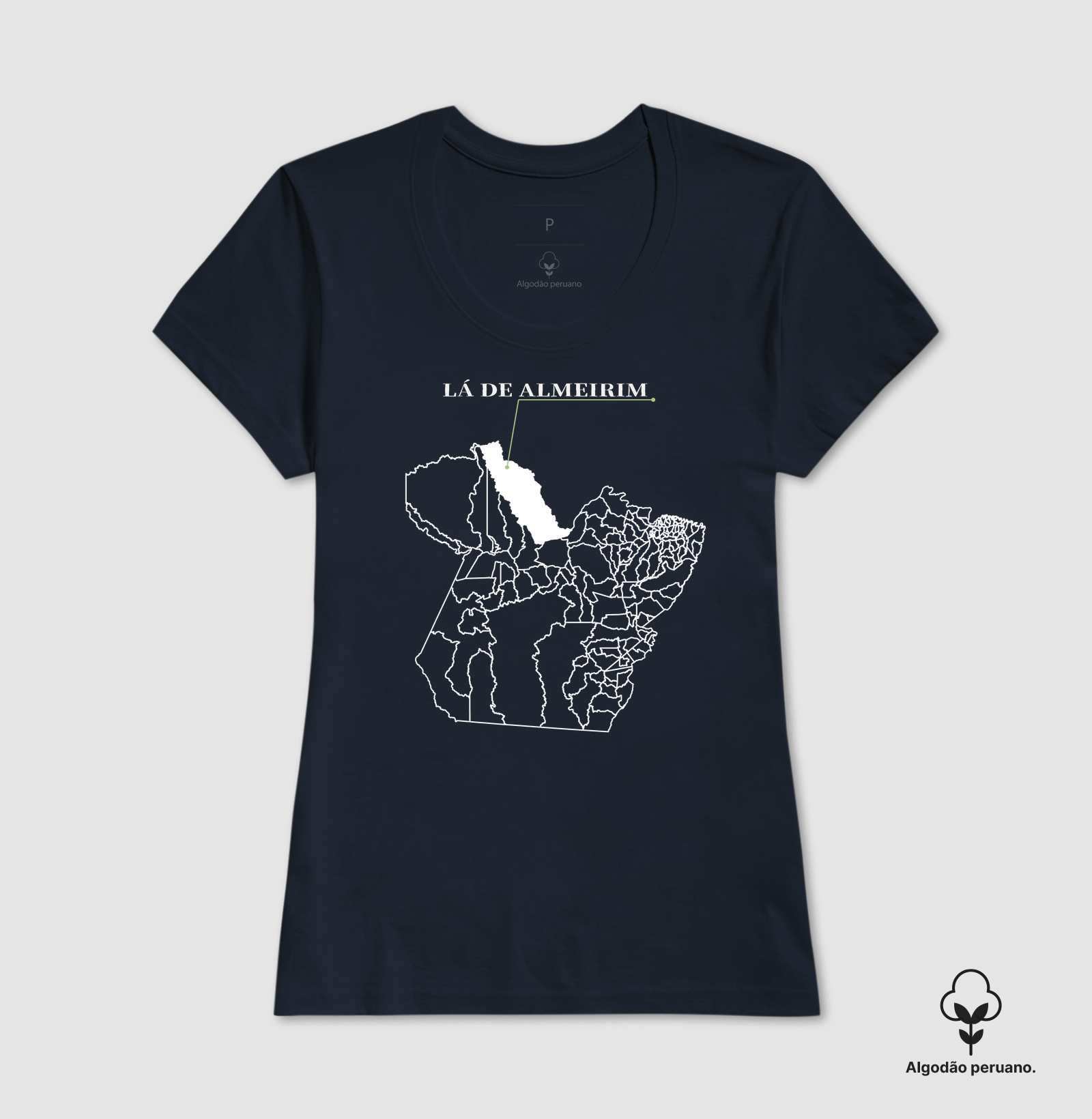 Almeirim | Origem PA - Imagem 7