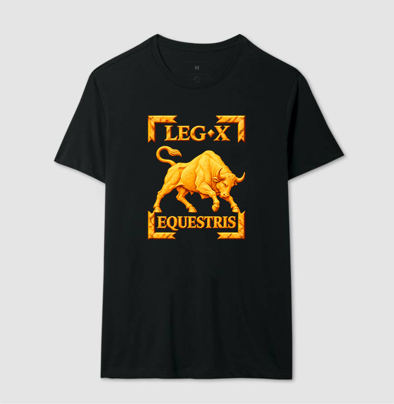 LEGIO — X Equestris - III - Imagem 2