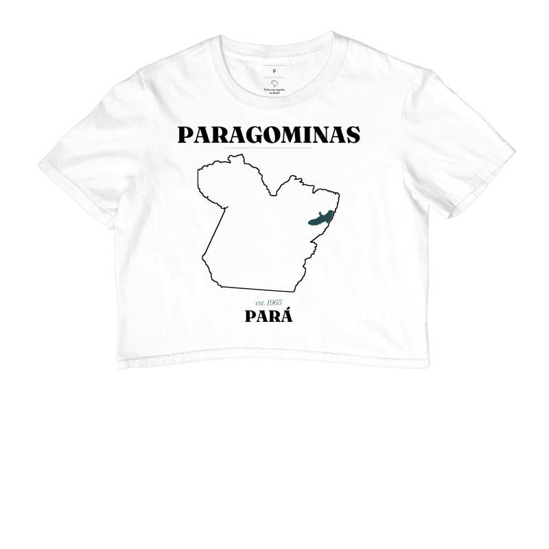 Paragominas | Legado PA - Imagem 3
