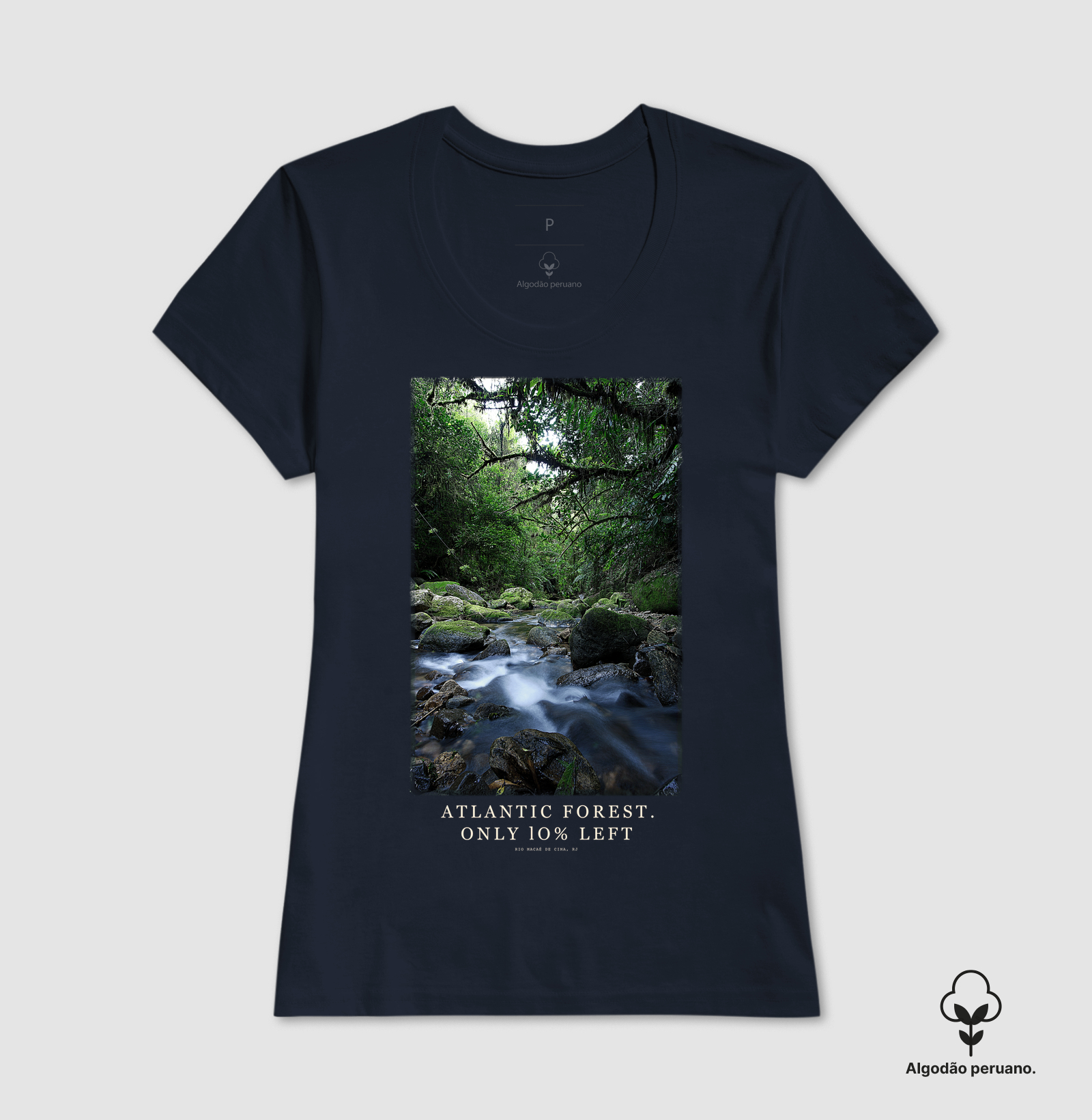 Atlantic Forest - Imagem 2
