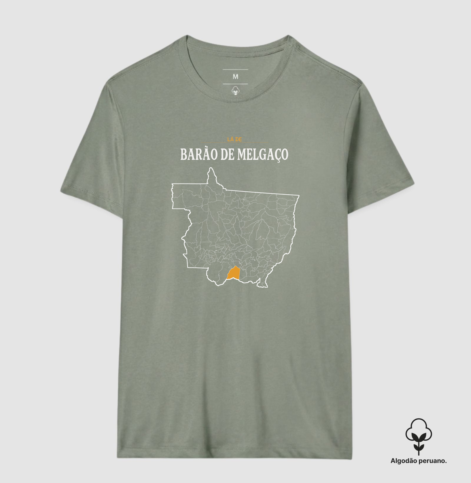 Barão de Melgaço | Território MT - Imagem 9