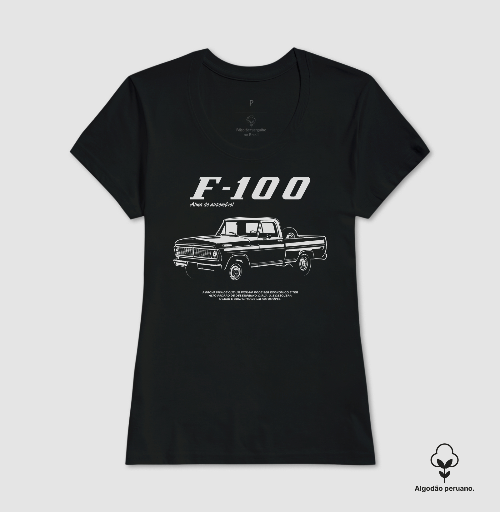 F-100 | Alma de Automóvel - Imagem 7