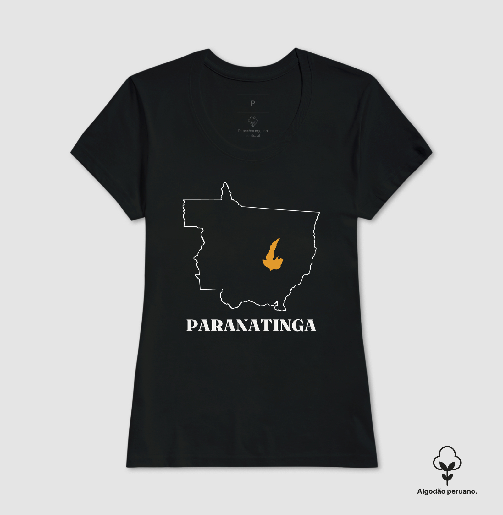Paranatinga | Traço MT - Imagem 5