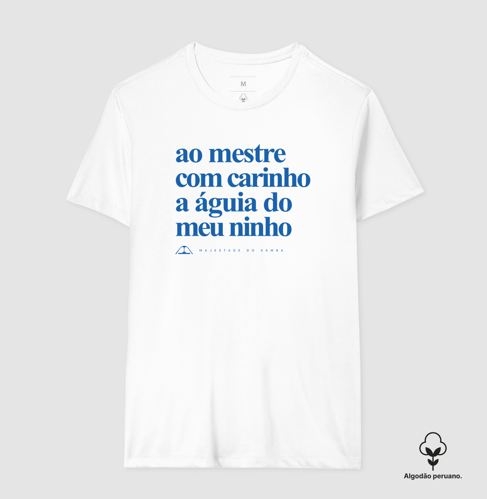 Ao Mestre com carinho, a águia do meu ninho - Imagem 7