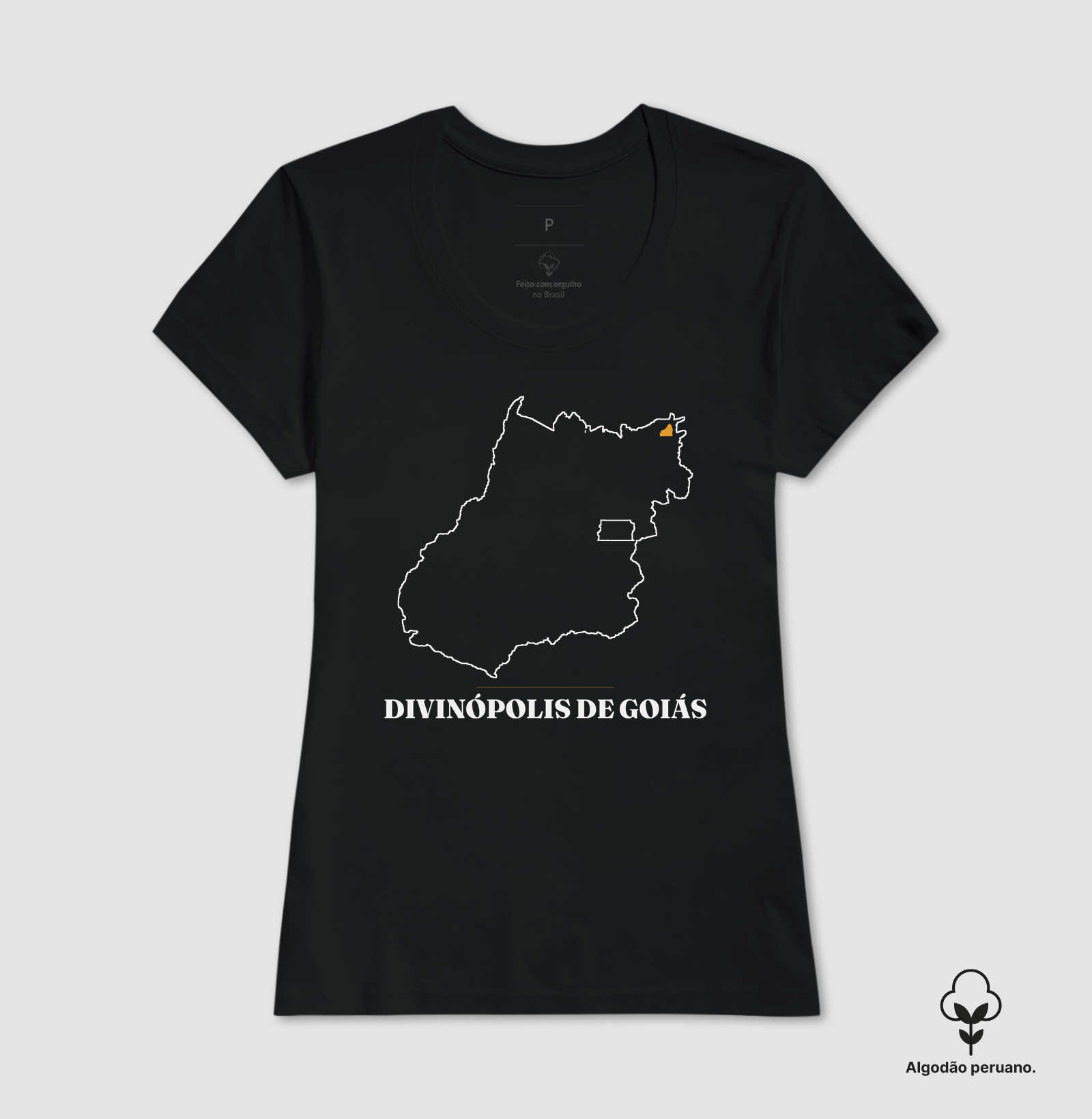 Divinópolis de Goiás | Traço GO - Imagem 6