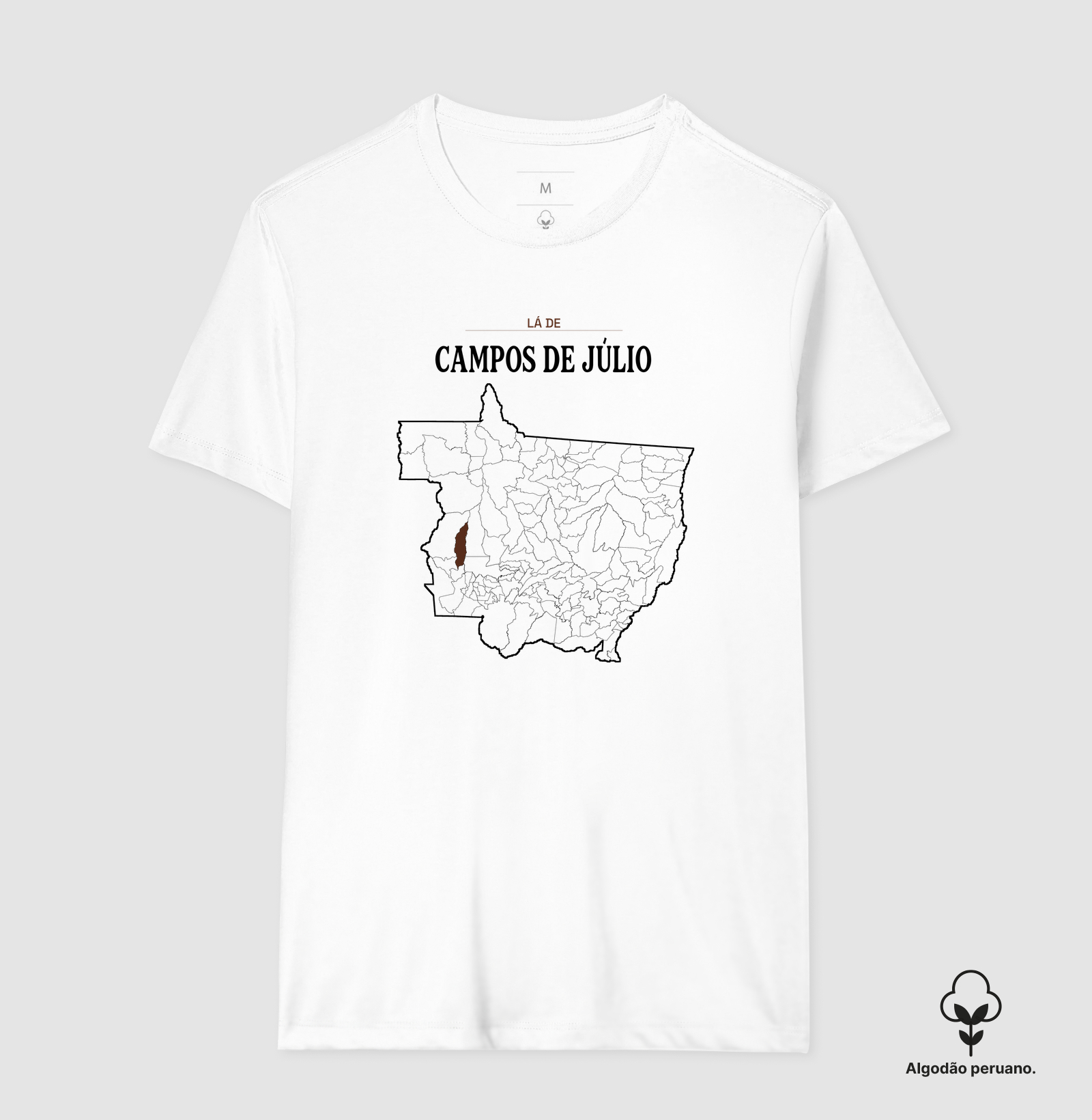Campos de Júlio | Território MT - Imagem 4