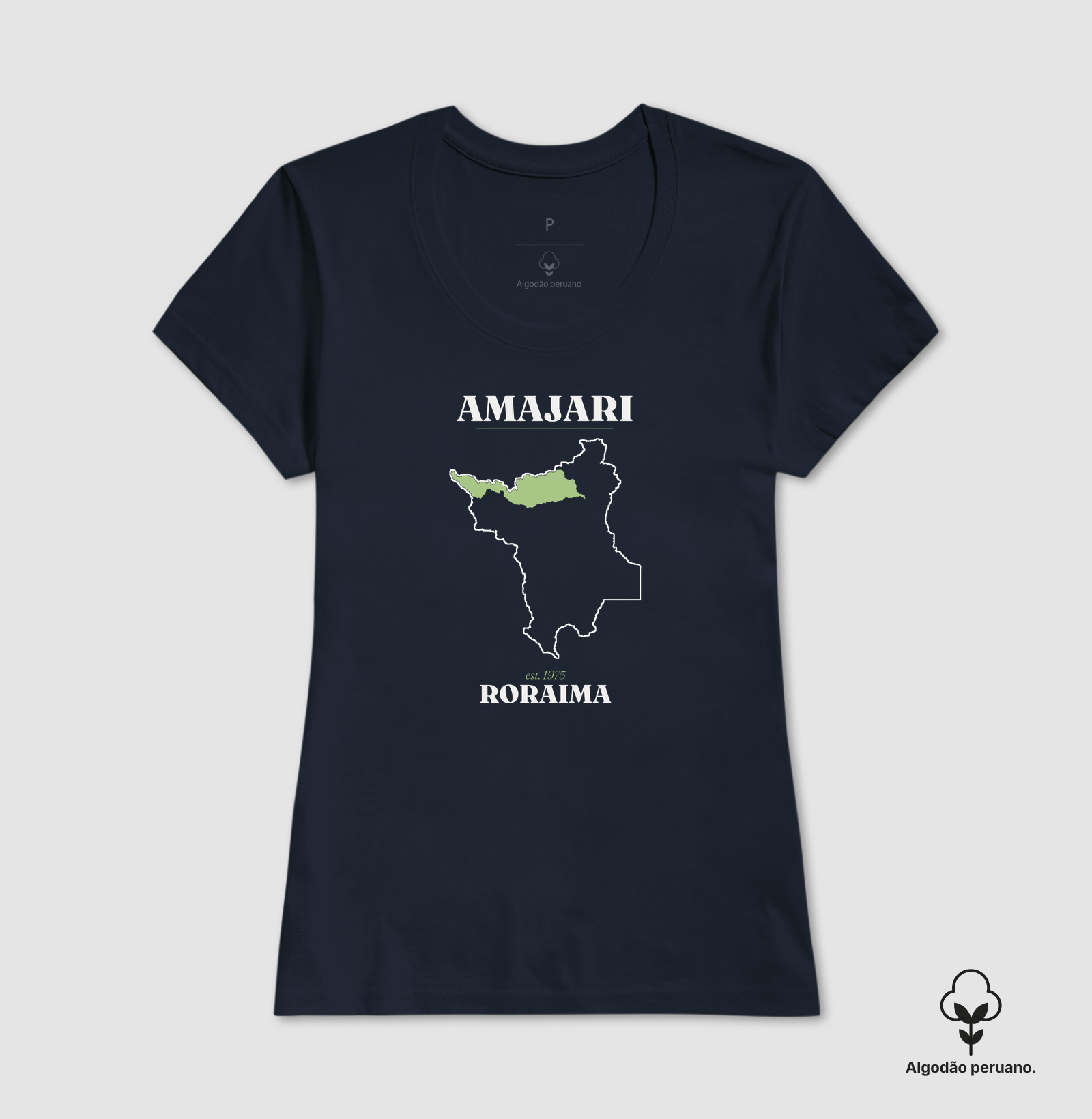 Amajari | Legado RR - Imagem 4