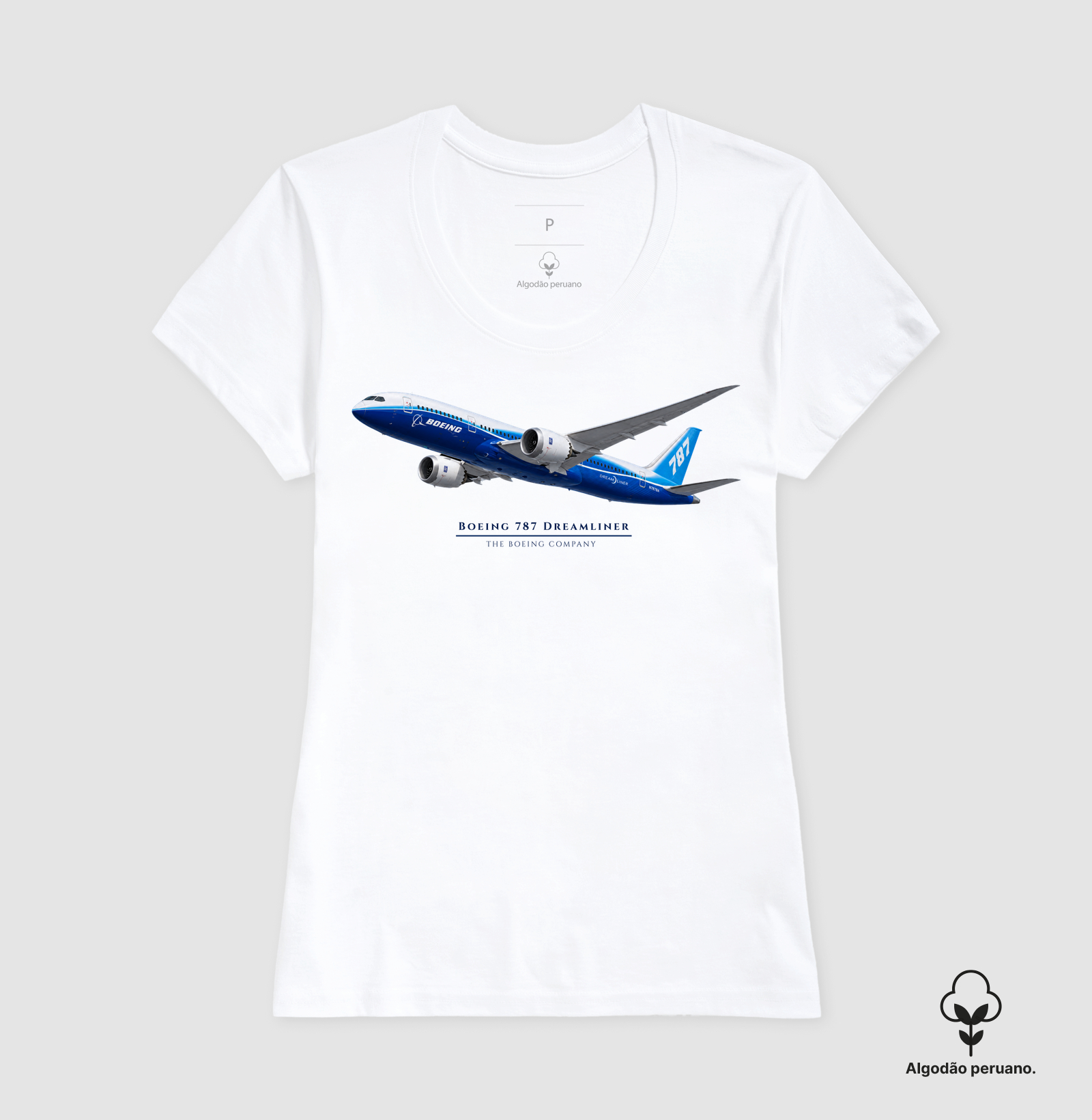Boeing 787 Dreamliner - Imagem 8