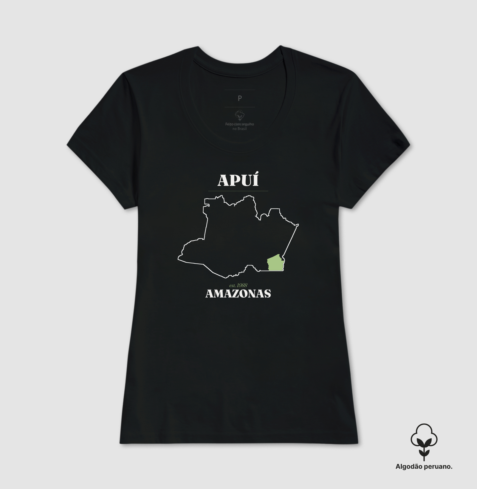 Apuí | Legado AM - Imagem 5