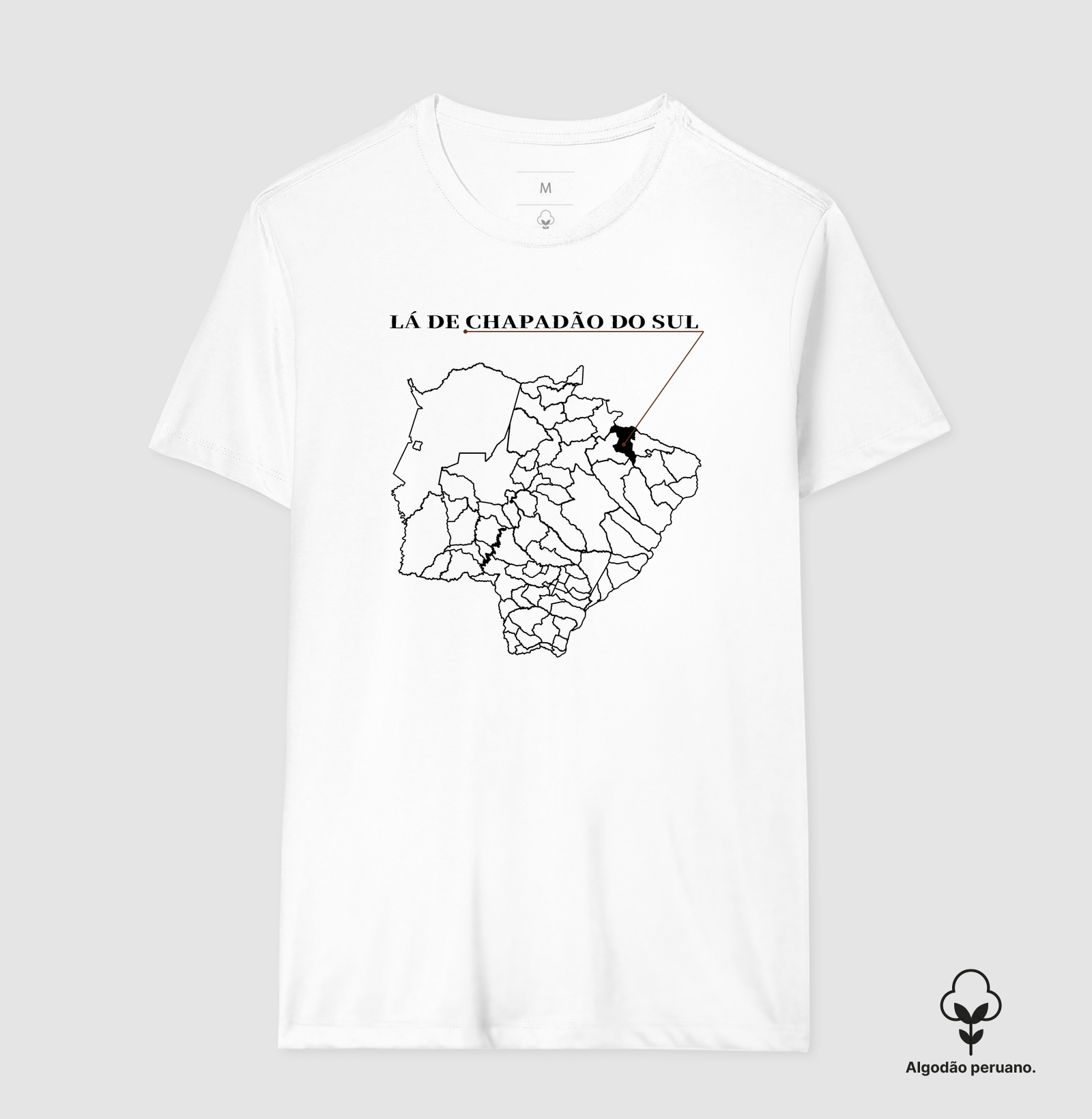 Chapadão do Sul | Origem MS - Imagem 3