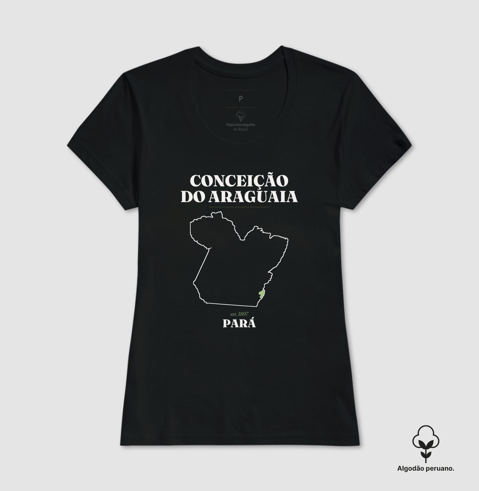 Conceição do Araguaia | Legado PA - Imagem 5