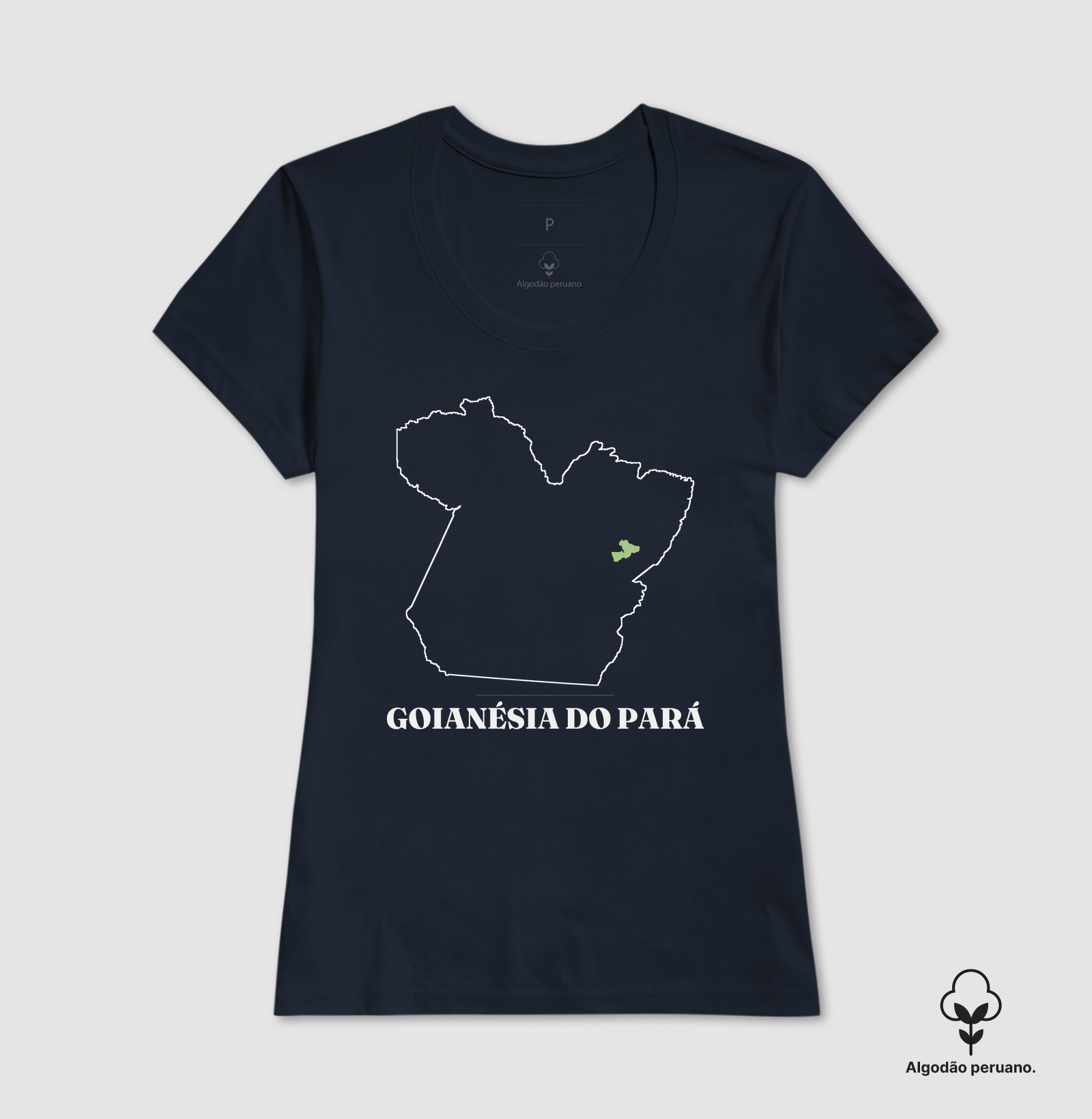 Goianésia do Pará | Traço PA - Imagem 3
