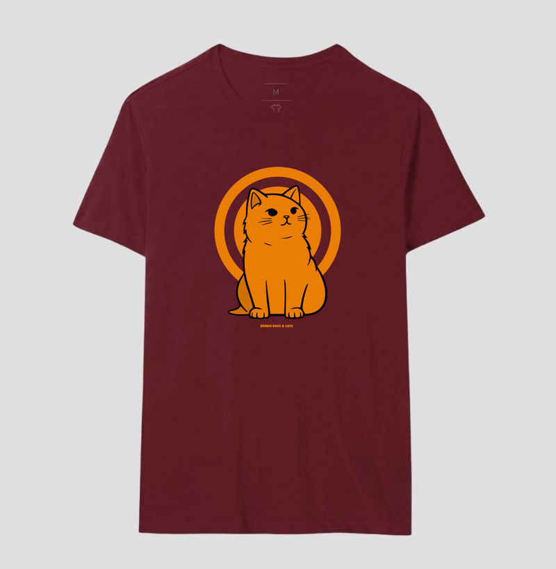Gato laranja - Imagem 13