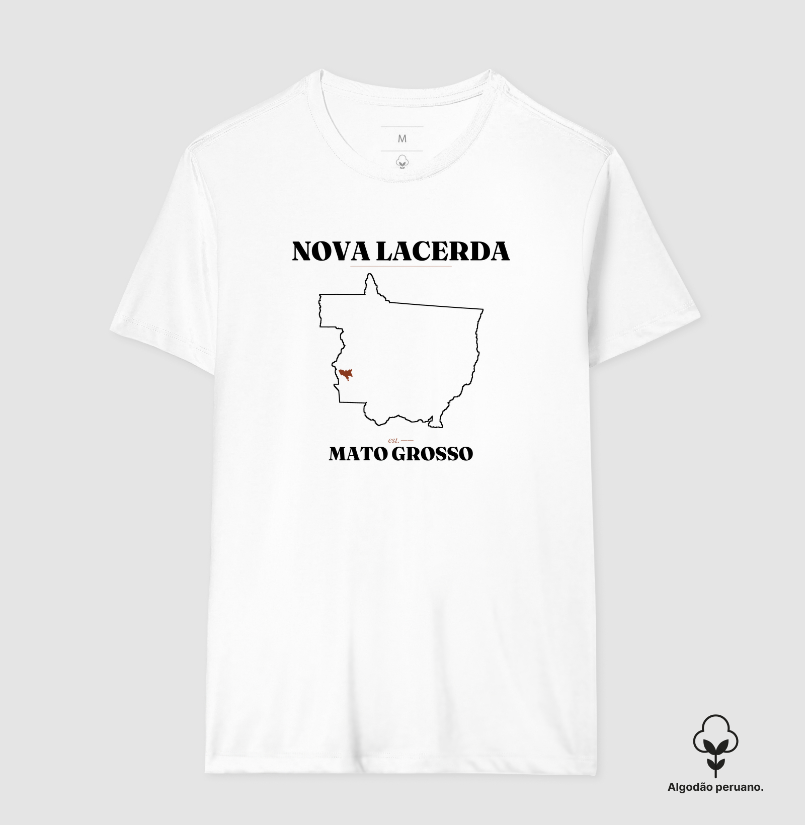 Nova Lacerda | Legado MT - Imagem 7