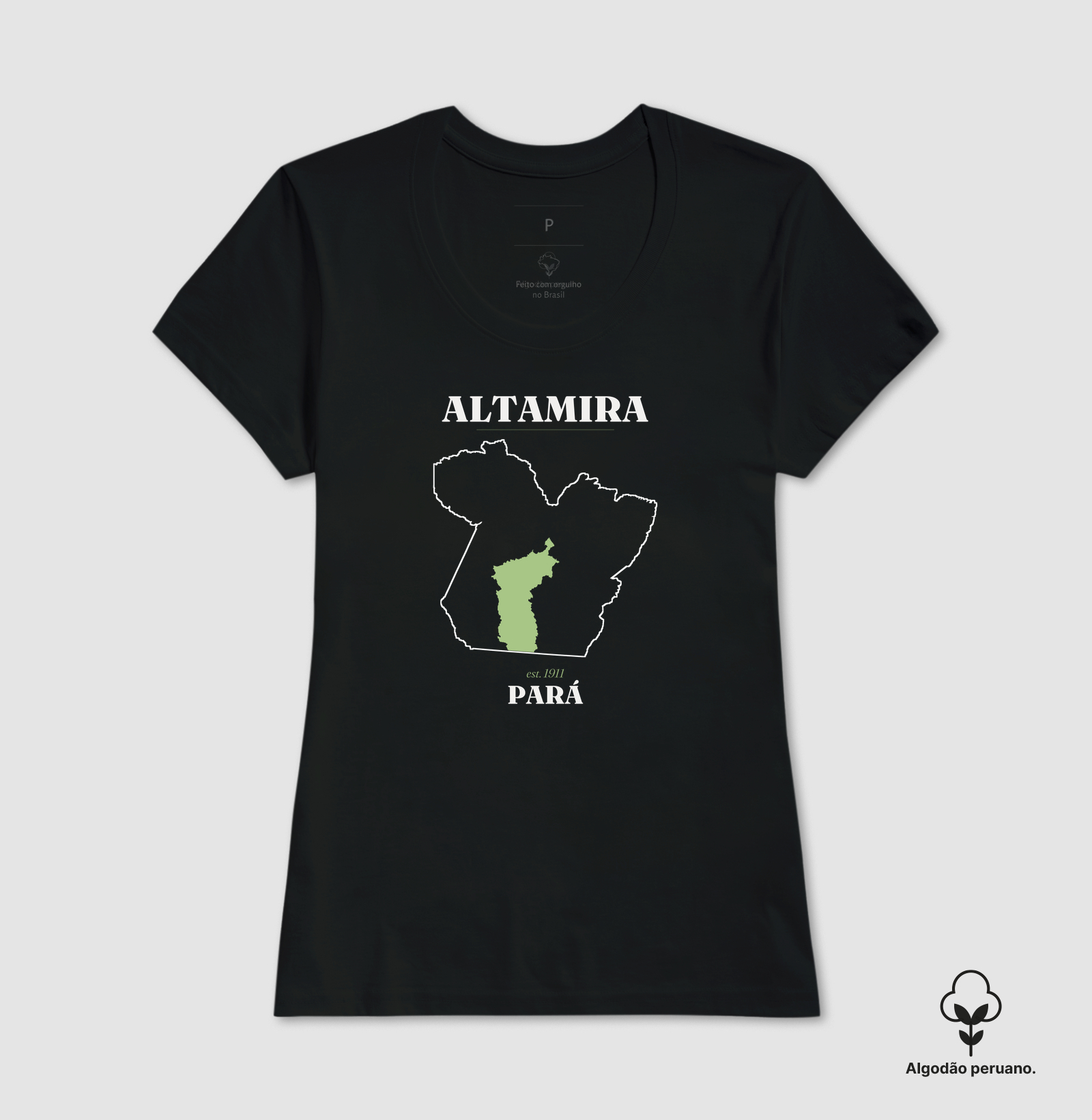Altamira | Legado PA - Imagem 8