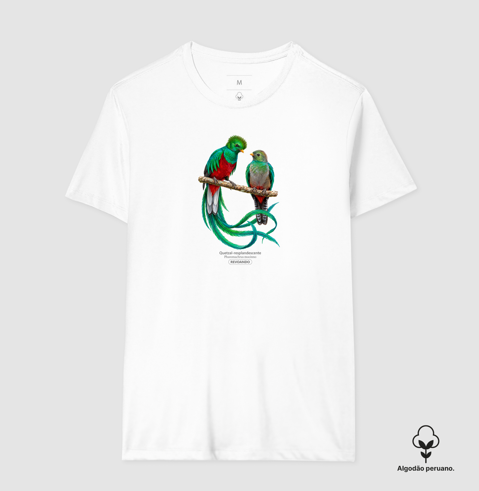 Traços Alados - Quetzal-resplandescente - Algodão Peruano - Imagem 6