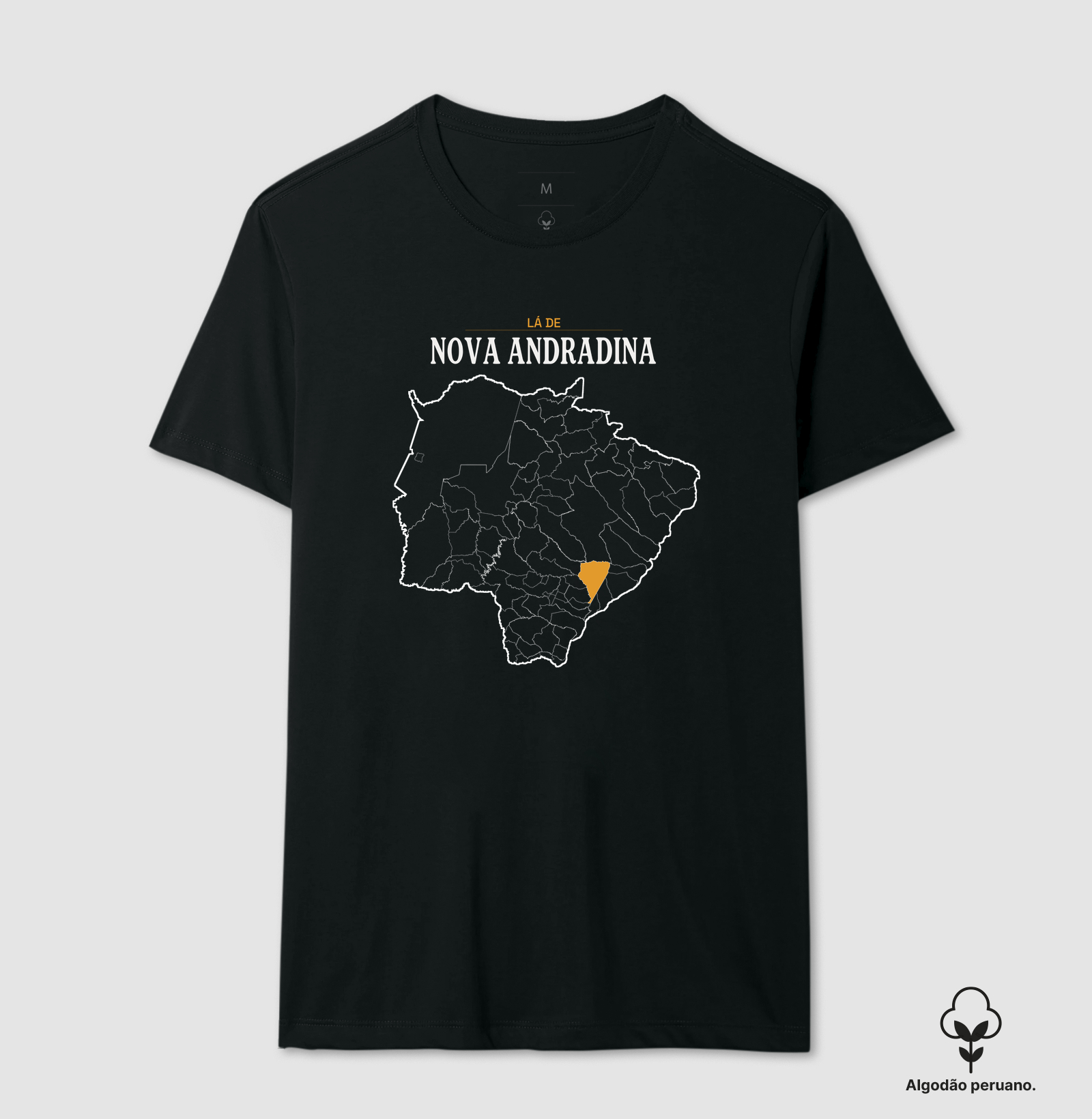Nova Andradina | Território MS - Imagem 8