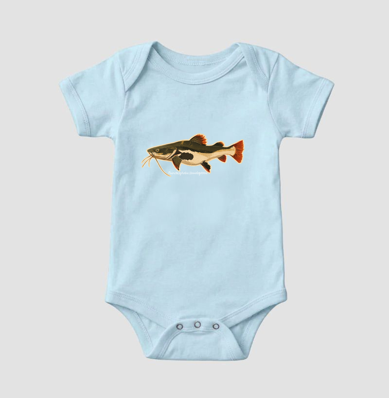 Pirarara 🐟 - Imagem 4