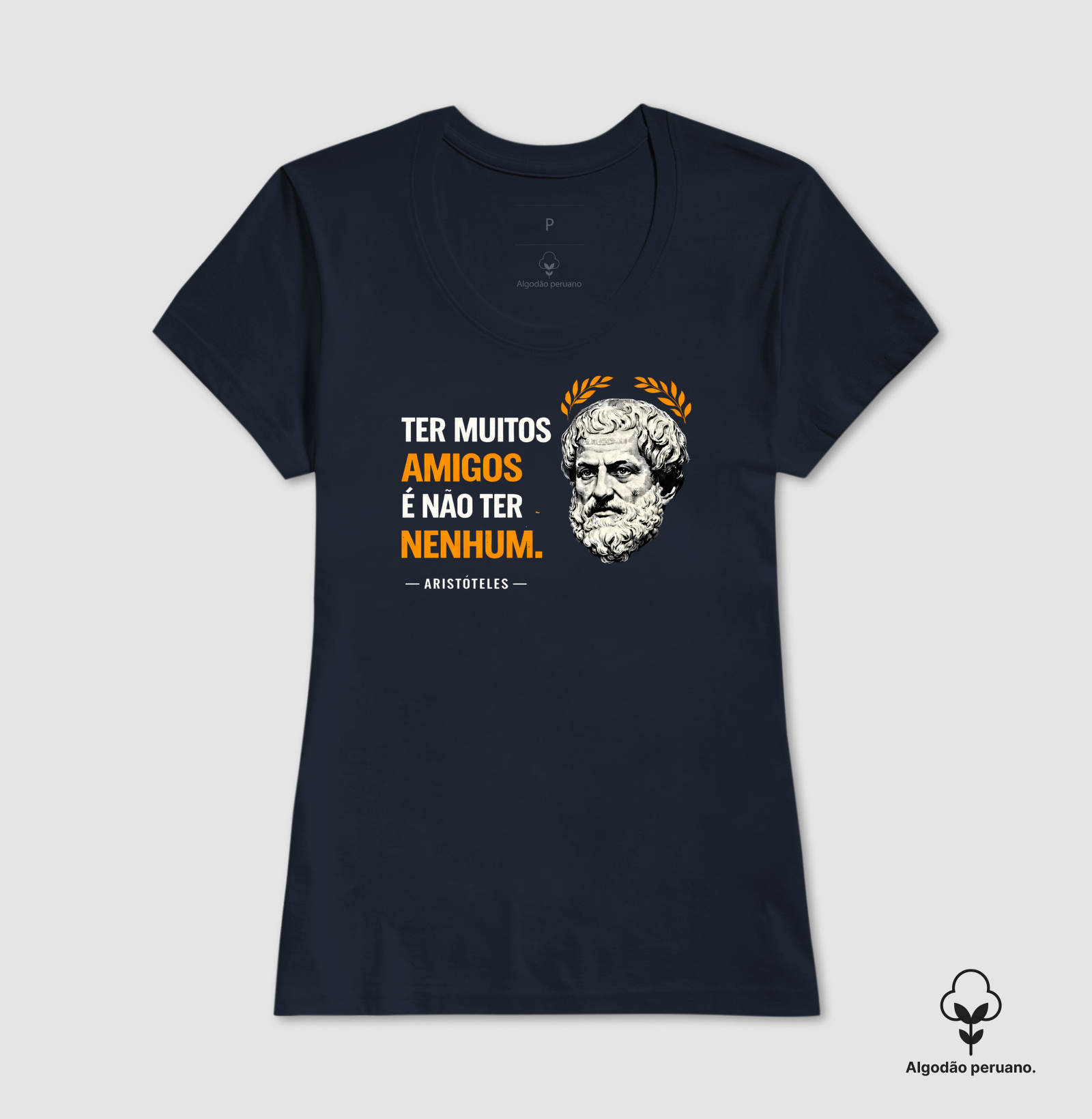 Filosofia de Aristóteles "Ter muitos amigos" - Imagem 6