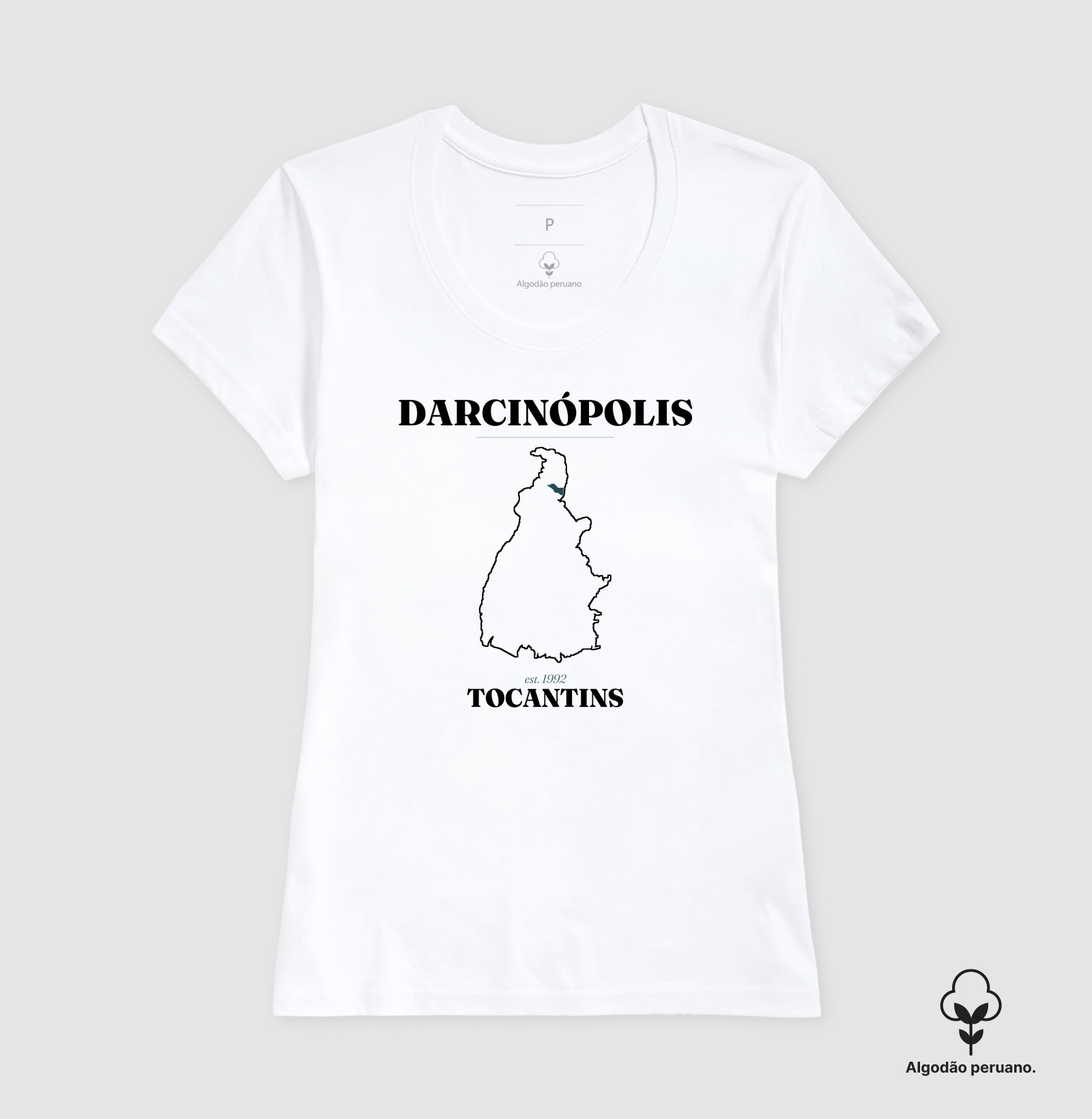 Darcinópolis | Legado TO - Imagem 8