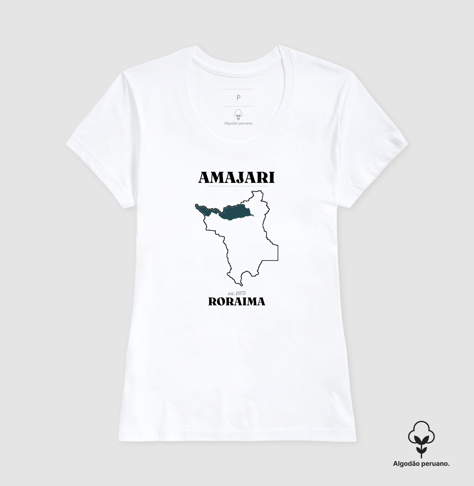 Amajari | Legado RR - Imagem 9