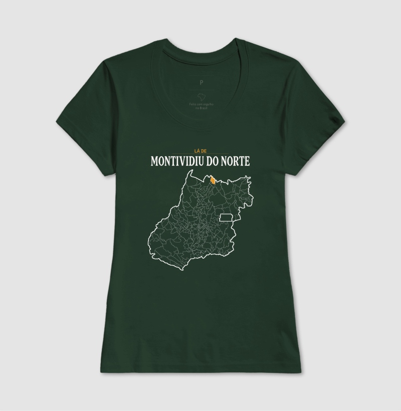 Montividiu do Norte | Território GO - Imagem 13