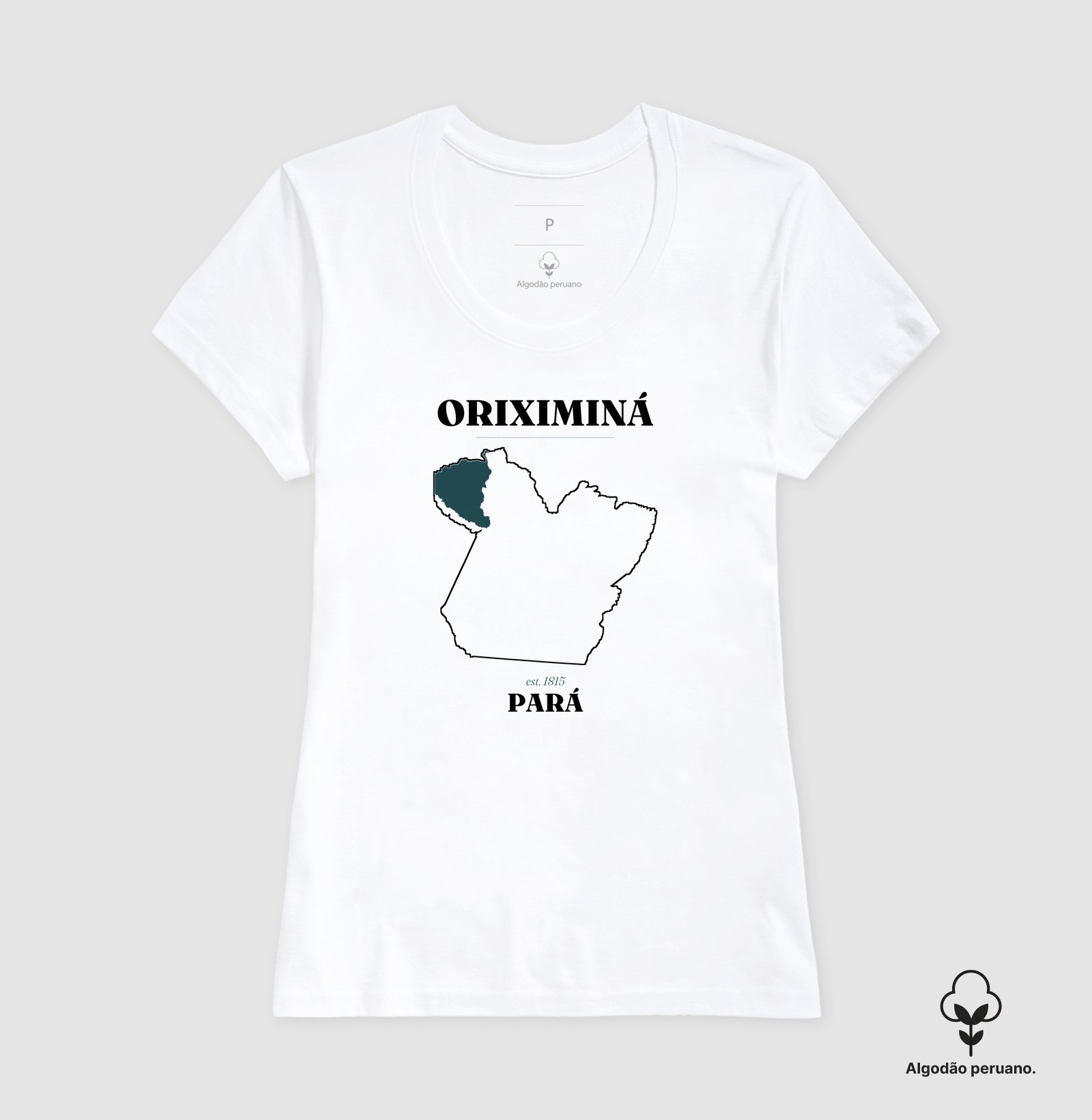 Oriximiná | Legado PA - Imagem 7